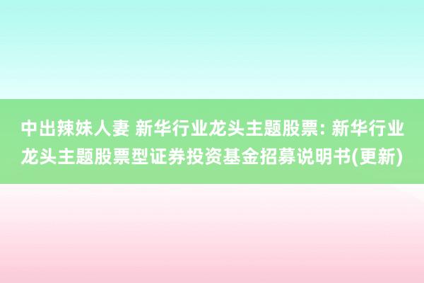 中出辣妹人妻 新华行业龙头主题股票: 新华行业龙头主题股票型证券投资基金招募说明书(更新)