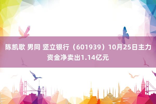 陈凯歌 男同 竖立银行（601939）10月25日主力资金净卖出1.14亿元