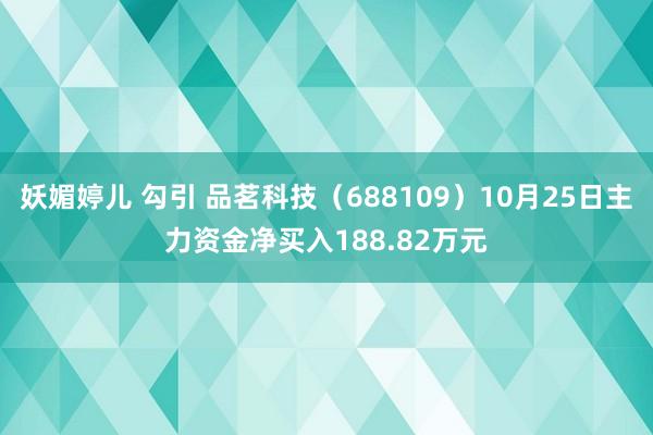 妖媚婷儿 勾引 品茗科技（688109）10月25日主力资金净买入188.82万元