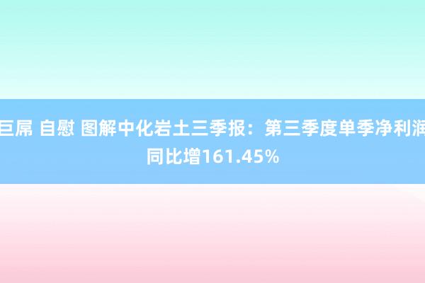 巨屌 自慰 图解中化岩土三季报：第三季度单季净利润同比增161.45%