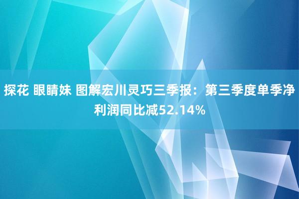 探花 眼睛妹 图解宏川灵巧三季报：第三季度单季净利润同比减52.14%