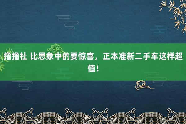 撸撸社 比思象中的要惊喜，正本准新二手车这样超值！