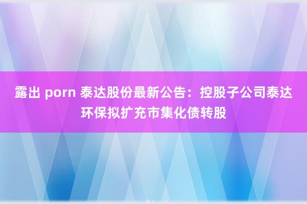 露出 porn 泰达股份最新公告：控股子公司泰达环保拟扩充市集化债转股