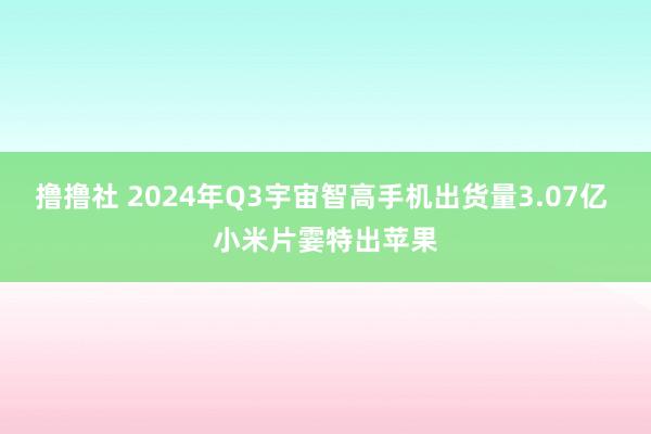 撸撸社 2024年Q3宇宙智高手机出货量3.07亿 小米片霎特出苹果