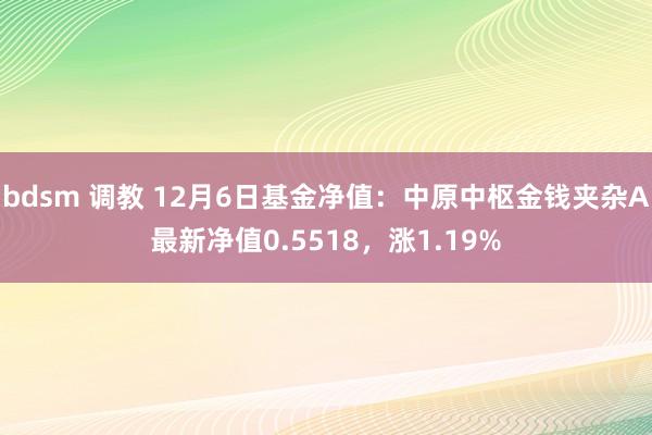 bdsm 调教 12月6日基金净值：中原中枢金钱夹杂A最新净值0.5518，涨1.19%