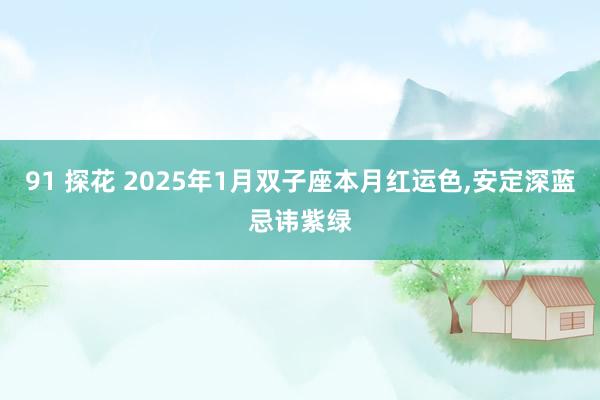 91 探花 2025年1月双子座本月红运色，安定深蓝忌讳紫绿