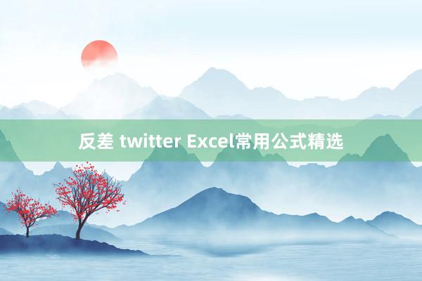 反差 twitter Excel常用公式精选