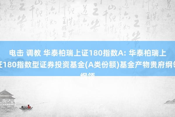 电击 调教 华泰柏瑞上证180指数A: 华泰柏瑞上证180指数型证券投资基金(A类份额)基金产物贵府纲领