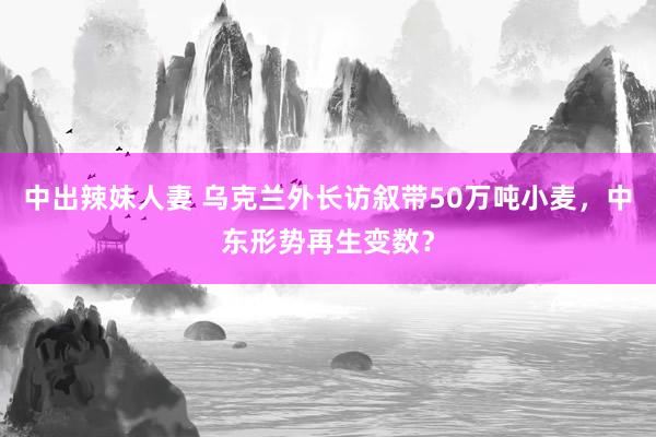 中出辣妹人妻 乌克兰外长访叙带50万吨小麦，中东形势再生变数？