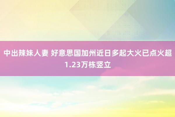 中出辣妹人妻 好意思国加州近日多起大火已点火超1.23万栋竖立