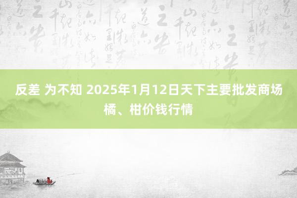 反差 为不知 2025年1月12日天下主要批发商场橘、柑价钱行情