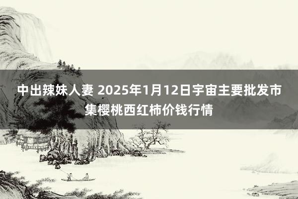 中出辣妹人妻 2025年1月12日宇宙主要批发市集樱桃西红柿价钱行情