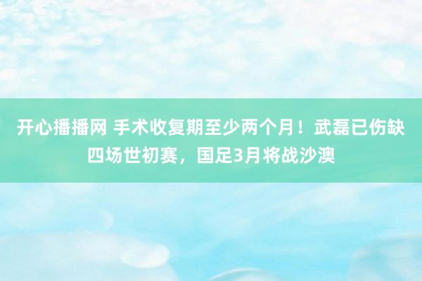 开心播播网 手术收复期至少两个月！武磊已伤缺四场世初赛，国足3月将战沙澳