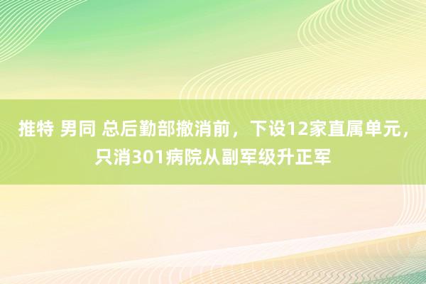 推特 男同 总后勤部撤消前，下设12家直属单元，只消301病院从副军级升正军