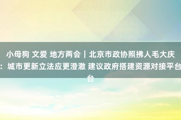 小母狗 文爱 地方两会｜北京市政协照拂人毛大庆：城市更新立法应更澄澈 建议政府搭建资源对接平台