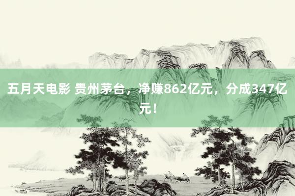 五月天电影 贵州茅台，净赚862亿元，分成347亿元！