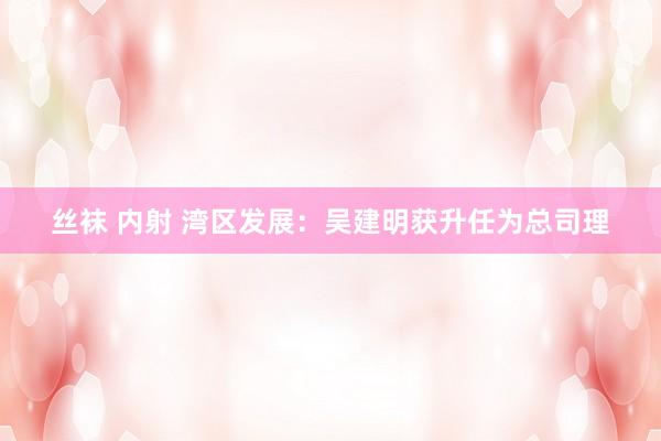 丝袜 内射 湾区发展：吴建明获升任为总司理