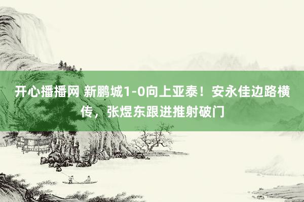 开心播播网 新鹏城1-0向上亚泰！安永佳边路横传，张煜东跟进推射破门